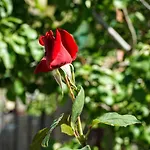 Agnanti House בית נופש *