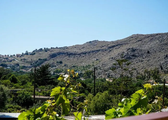 Agnanti House Tatil Evi Simi