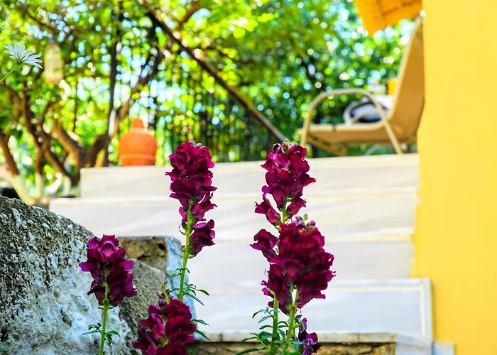 Tatil Evi Agnanti House *