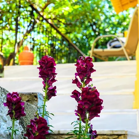 בית נופש Agnanti House *