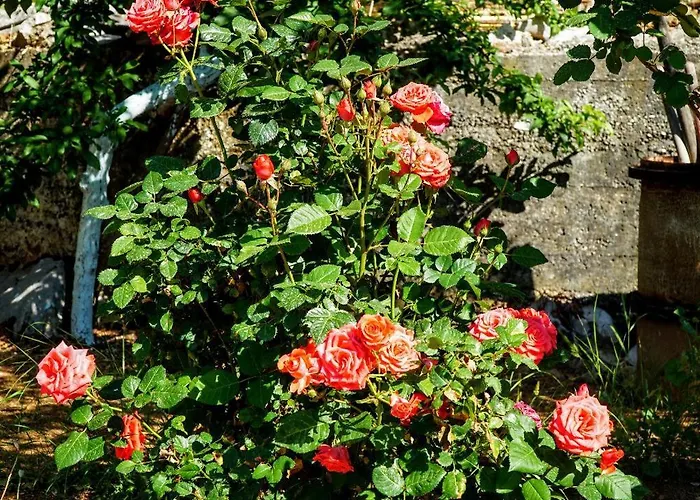 Casa de Férias Agnanti House Simi